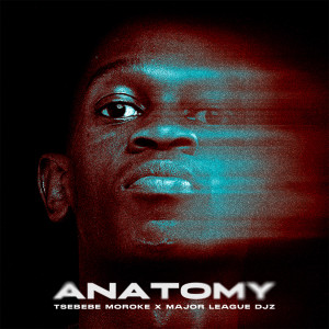 Album Anatomy from Major League Djz