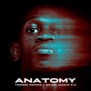 Major League Djz的专辑Anatomy