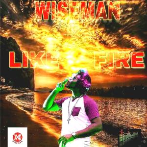 Wiseman的专辑Like Fire
