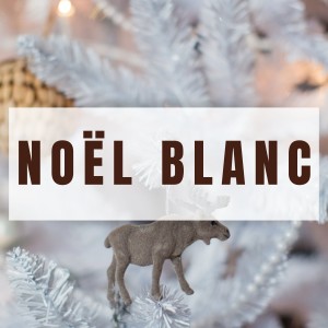 Album Noël Blanc from Alfred Deller & the Deller Consort