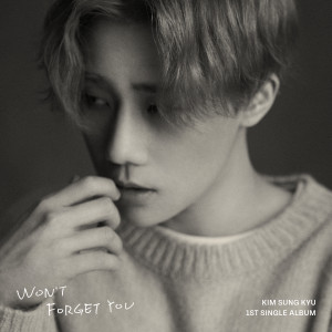 Album Won't Forget You oleh 金圣圭(Infinite)