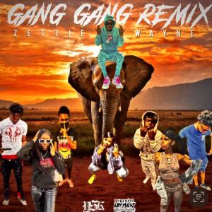 Album GANG GANG Pt. 2 (feat. DarDoneIt, MunchieDaGoat, MyLove, D3stickemup, NyNy, Lil Josh & Dsg2Sticks) (Explicit) oleh Zettie Wayne