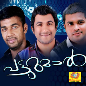 Album Patturumal (Original Motion Picture Soundtrack) from Saleem Kodathur