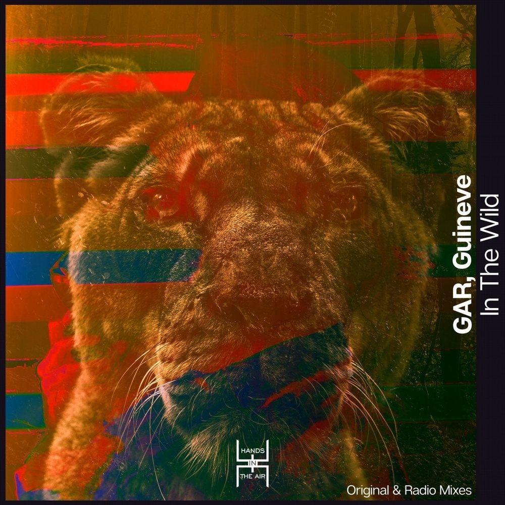 In The Wild (Radio mix)