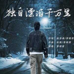 Listen to 独自漂泊千万里 (伴奏) song with lyrics from 大海