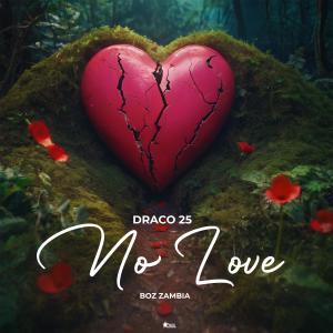 Draco 25的專輯No Love (feat. Boz Zambia) [Explicit]