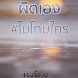 ดาวน์โหลดและฟังเพลง ผิดเอง (ไม่โทษใคร) พร้อมเนื้อเพลงจาก ดารานักร้องหลายคน