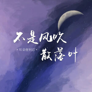 不是风吹散落叶 dari 