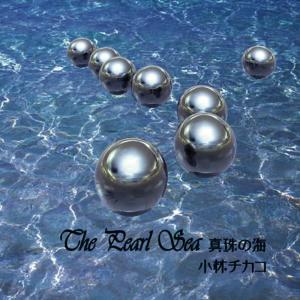 收聽Chikako Kobayashi的Everlasting Prayer Eien No Inori (Instrumental)歌詞歌曲