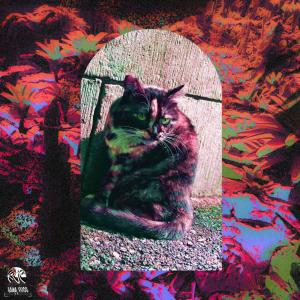 收聽Jayy Dogg的gutter ball! (feat. Glokk Santana & Cyph!) (Explicit)歌詞歌曲