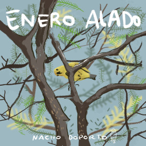 Album Enero Alado (feat. Duo Huaucke) from Nacho Doporto