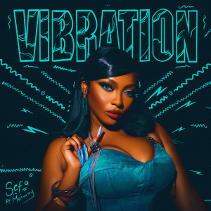 Album Vibration oleh Sefa