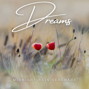Listen to Midnight Rain Serenade song with lyrics from Rain Sounds for Sleep