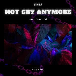 收聽Wind.P的Not Cry Anymore (Instrumental)歌詞歌曲