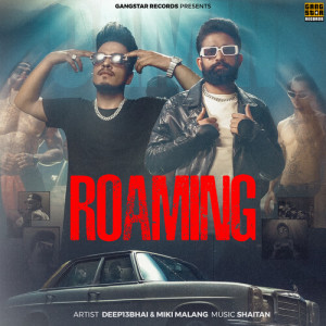 Listen to Roaming song with lyrics from Deep13Bhai