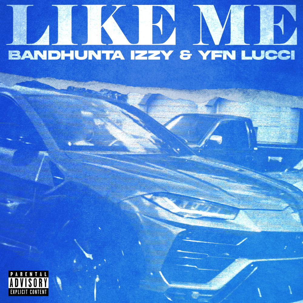 Like Me (Explicit)