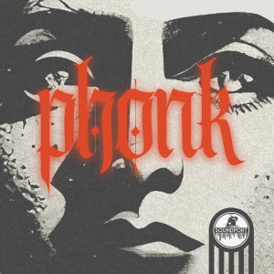 收聽Felix Mannherz的Phonked up歌詞歌曲