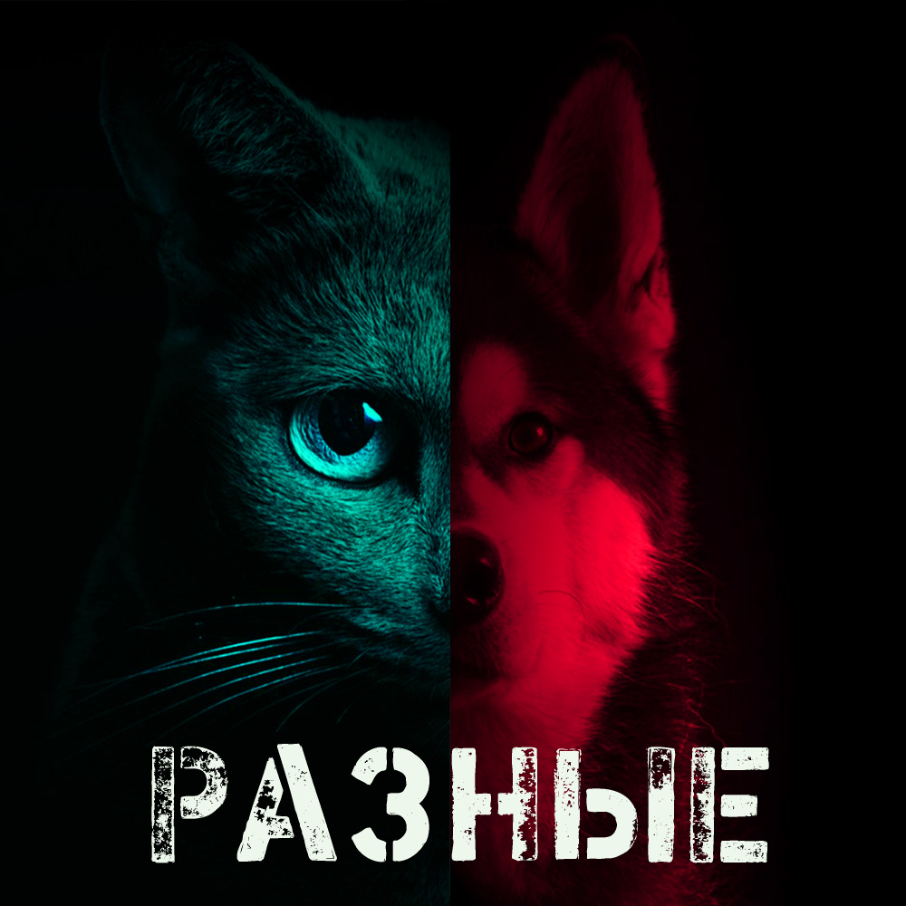 Разные