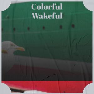 Various Artists的专辑Colorful Wakeful