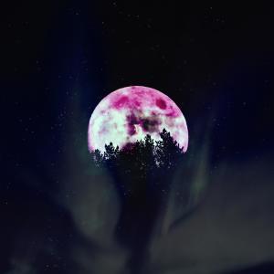 收听HnS的밤하늘을 삼킨 달歌词歌曲