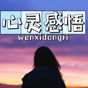 Album 心灵感悟 from 梅之香