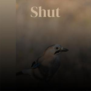 收聽Hina Sherald的Cantaloupe Stills歌詞歌曲
