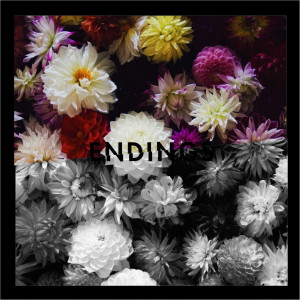 ดาวน์โหลดและฟังเพลง Endings พร้อมเนื้อเพลงจาก The Tidal Sleep