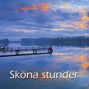 Uffe Brjesson& Rey-Ove Karln的專輯SPA-Serien - Sköna stunder