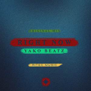 Album Right Now (Original Mix) from Yako Beatz
