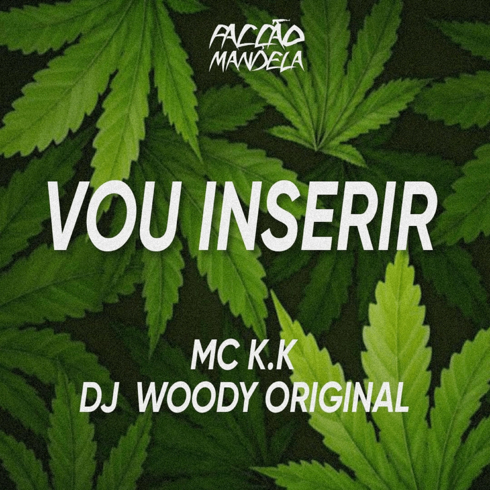 Vou Inserir (Explicit)