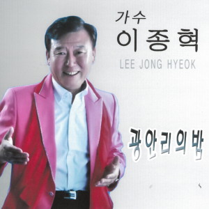 Listen to 광안리의 밤 song with lyrics from 이종혁