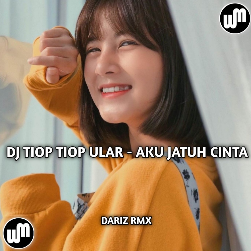DJ tiop tiop ular - Aku jatuh cinta (Explicit)