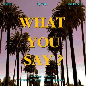 Album What You Say from Estee