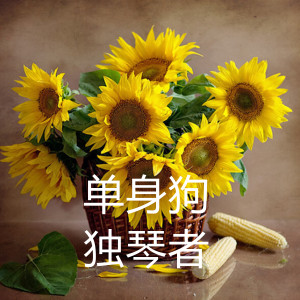 Listen to 单身狗 song with lyrics from 独琴者