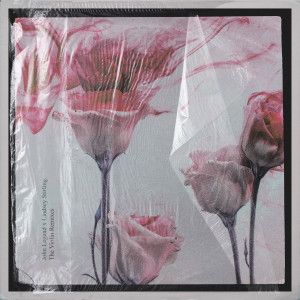 ดาวน์โหลดและฟังเพลง Conversations in the Dark (Violin Remix) พร้อมเนื้อเพลงจาก John Legend