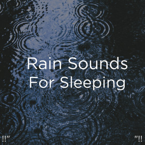 收听Meditation Rain Sounds的Rain Sound歌词歌曲