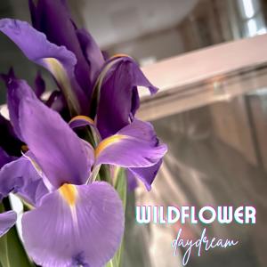 dayDream的專輯Wildflower