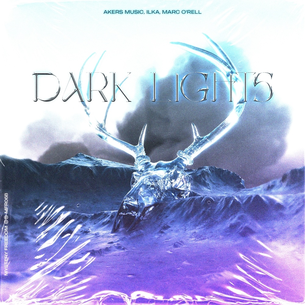 Dark Lights (Radio Mix)