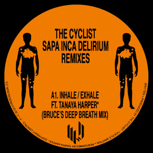 Album Sapa Inca Delirium (Remixes) from 