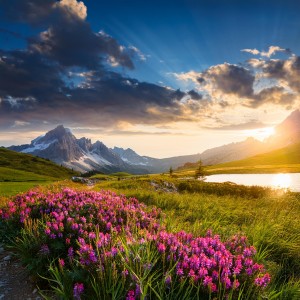 default playlist img