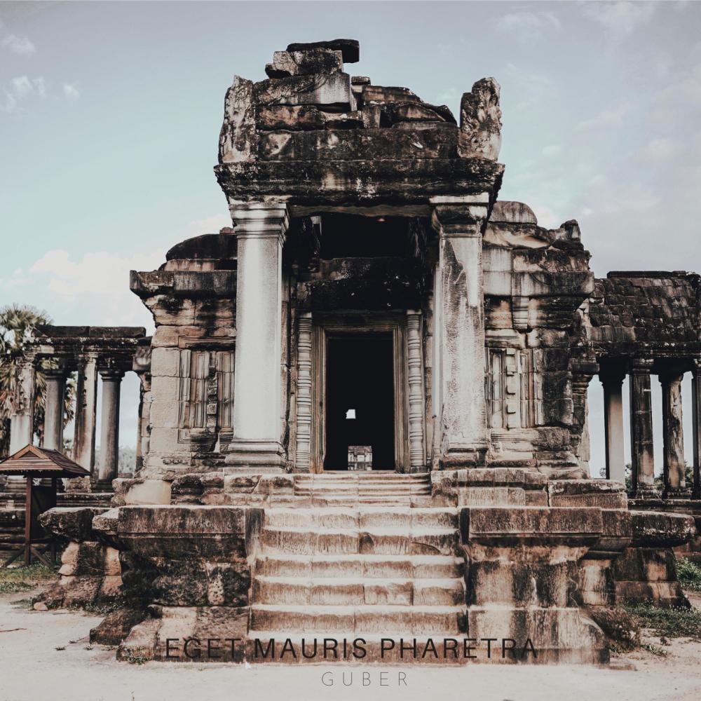 Mauris Pharetra