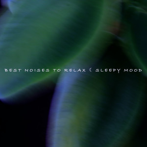 Sleepy Mood的專輯Best Noises to Relax