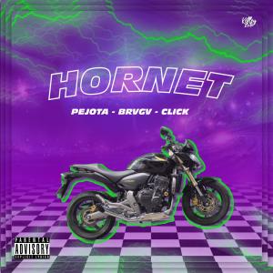 Listen to Hornet (Explicit) song with lyrics from peJota