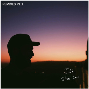 Album Silver Lake Remixes Pt. 1 from JOLE