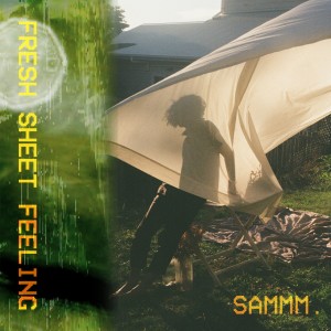 ดาวน์โหลดและฟังเพลง Fly พร้อมเนื้อเพลงจาก Sammm.