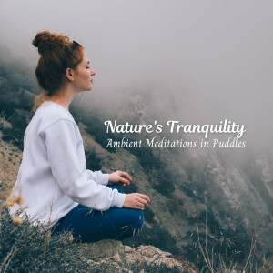 Mother Nature的专辑Nature's Tranquility: Ambient Meditations in Puddles