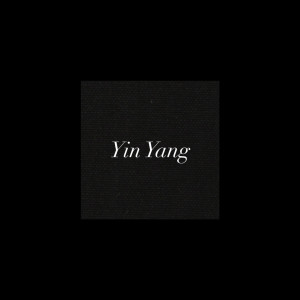 ดาวน์โหลดและฟังเพลง Yin Yang (Explicit) พร้อมเนื้อเพลงจาก Charlie T