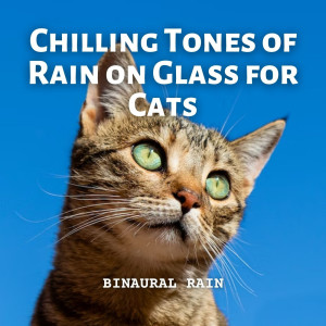 Album Binaural Rain: Chilling Tones of Rain on Glass for Cats oleh Ambient Tech
