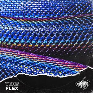 Album FLEX (Explicit) from Verb
