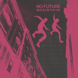 收聽No Future的Needle In The Hay (No Future Rip n Flip)歌詞歌曲